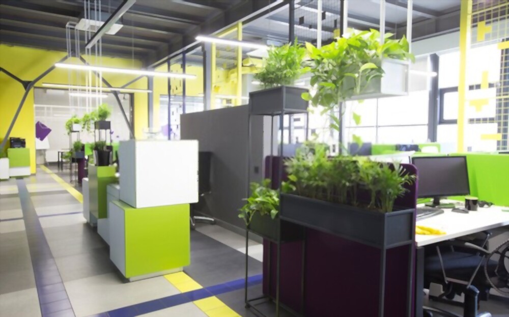 Plant Rental Service