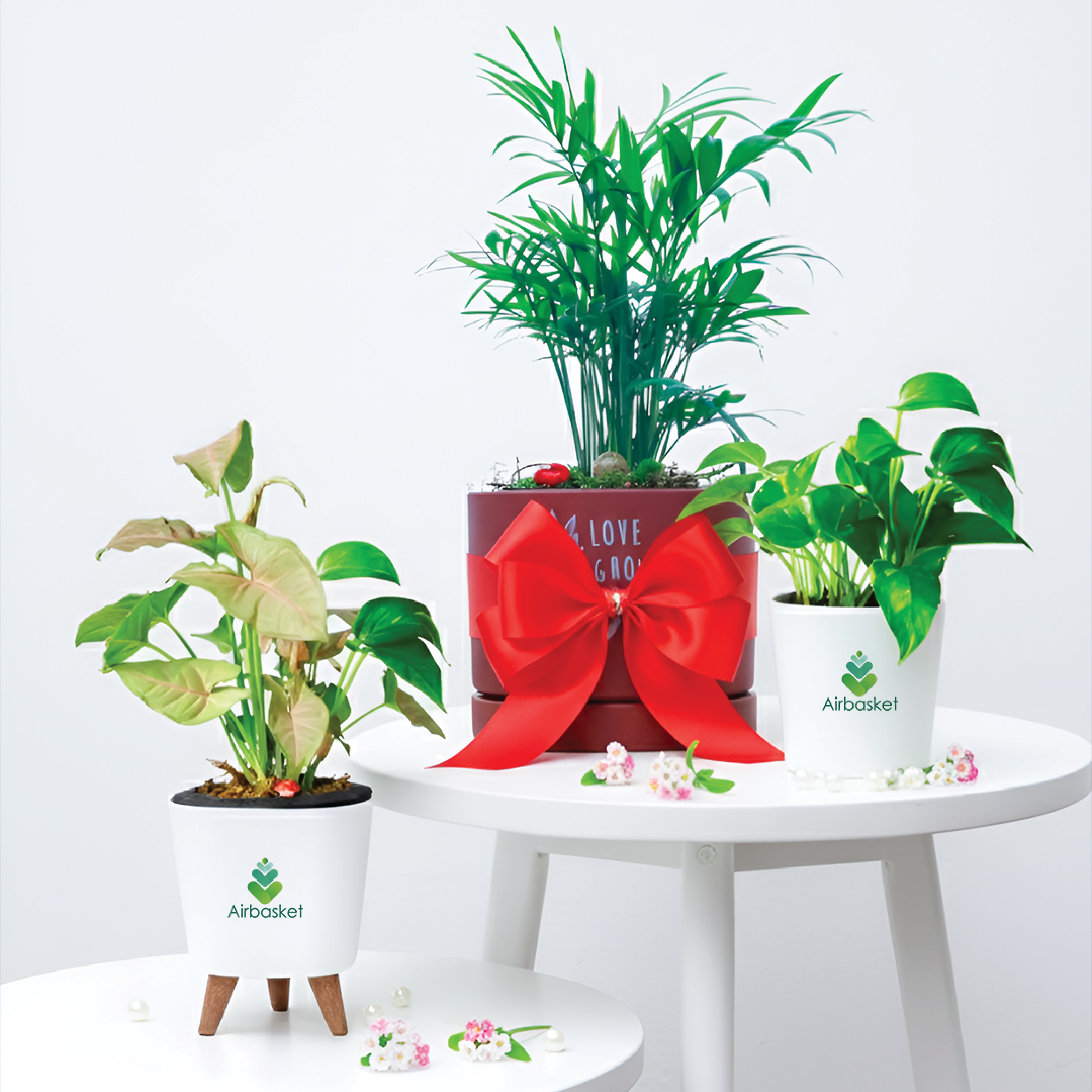 The Green Gifting Guide