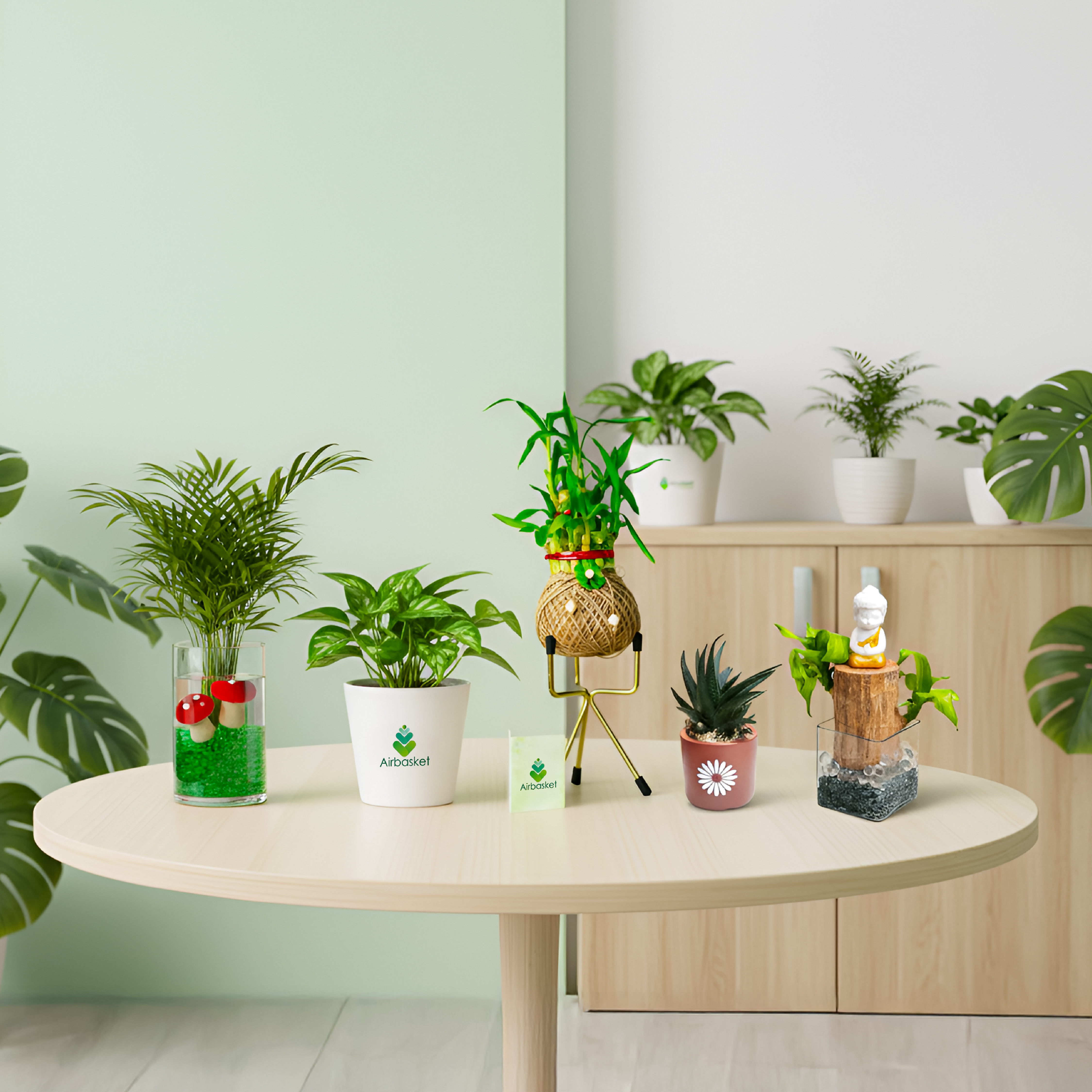 How to Start a Terrace Garden